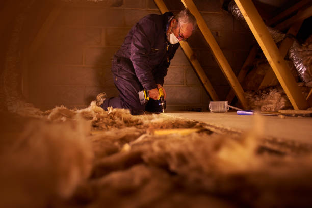 Best Crawl Space Insulation  in Longview, WA